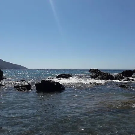 George's Platy Gyalos