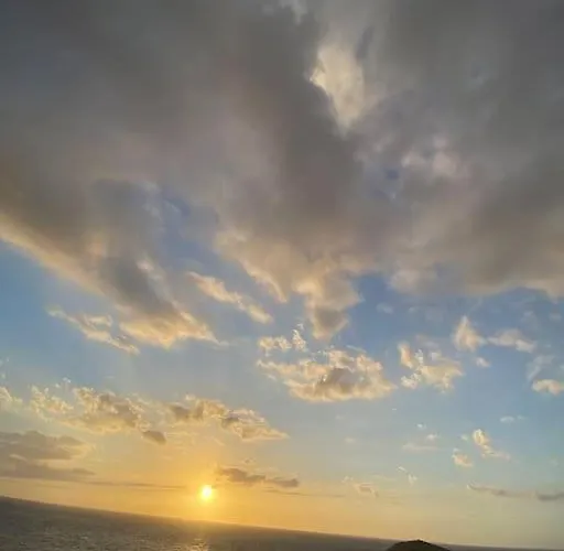 George's Platy Gyalos *