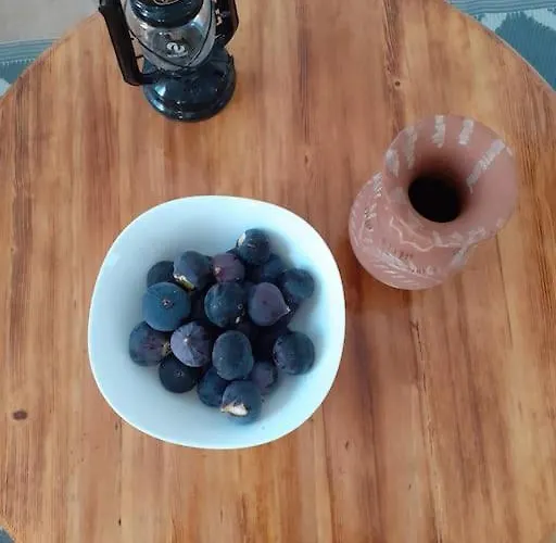 Tatil Evi George's Platy Gyalos *