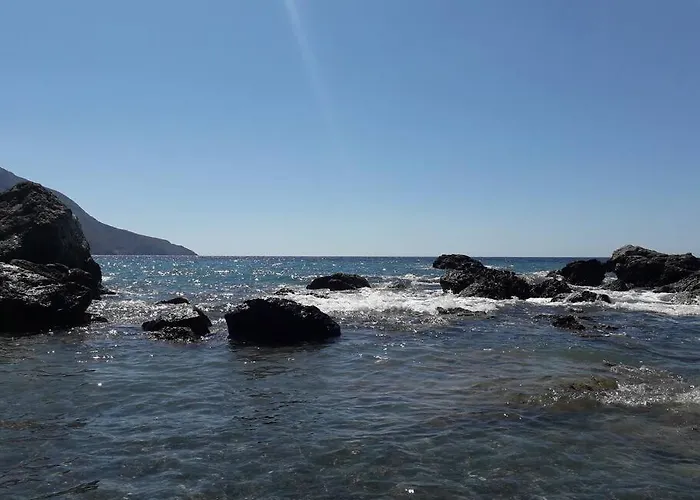 George's Platy Gyalos